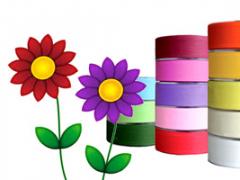 Floristické stuhy - 