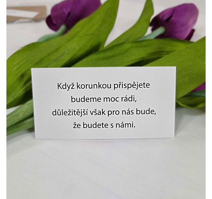 Kartička se žádostí o peníze UNI 10 x 5 cm - lesk (1 ks)