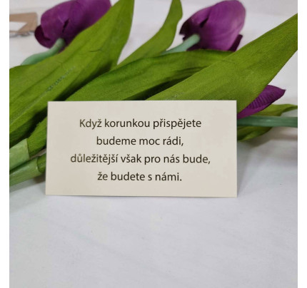 Kartička se žádostí o peníze UNI 10 x 5 cm - krémová (1 ks)