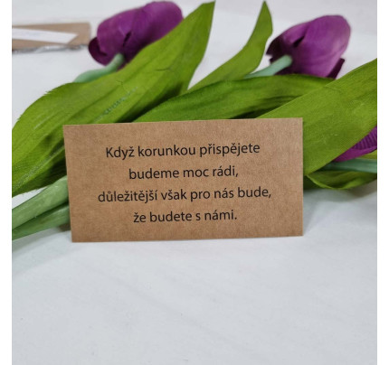 Kartička se žádostí o peníze UNI 10 x 5 cm - kraft (1 ks)