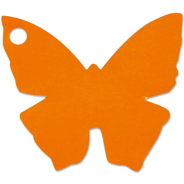 Oranžová